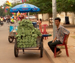 Selling lotus seeds
